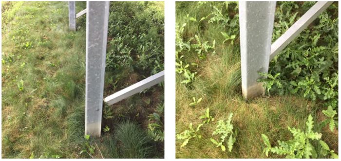 Frost heave effects on piles